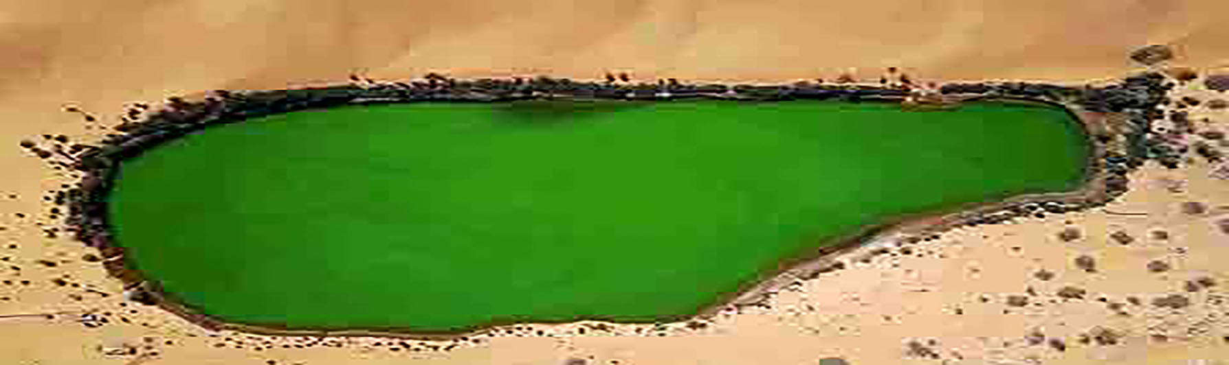 جامعة فزان