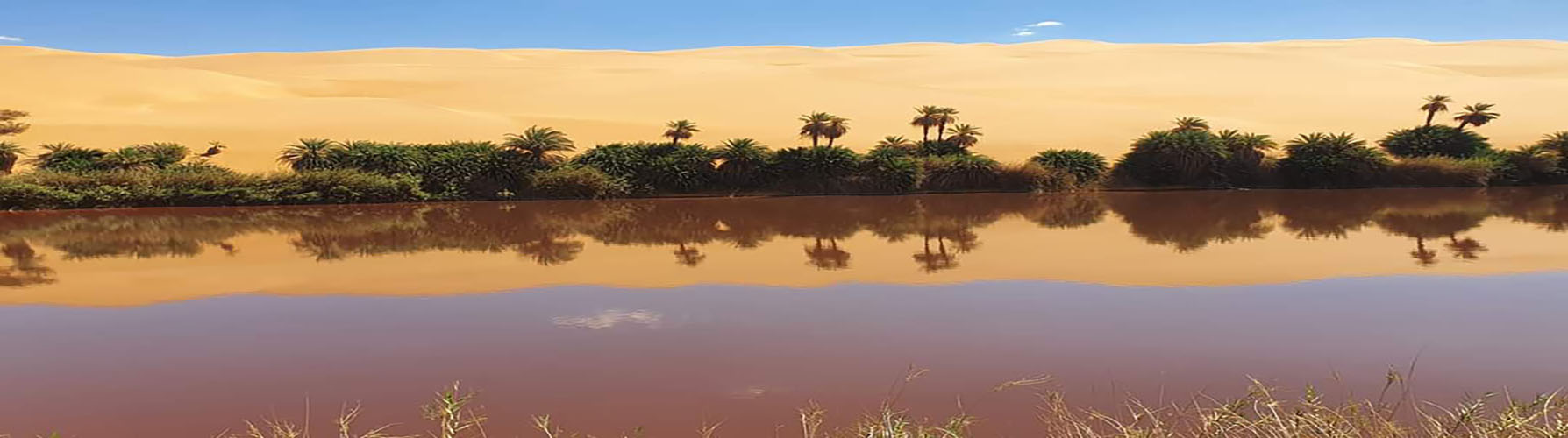 جامعة فزان